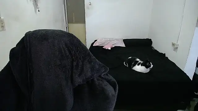 Amber09raiden online show from October 2025 05:03:01 PM