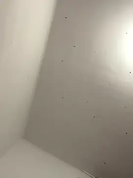 davidxxx099 online show from November 2025 10:31:01 PM