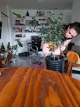 AmnesiaKushxSkywalkerOg online show from January 2026 03:58:01 PM