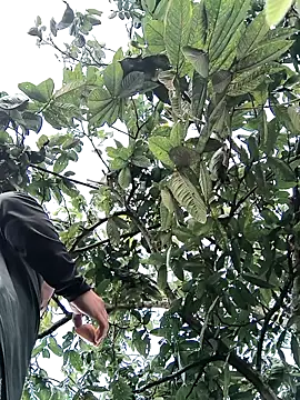 lamejorpene online show from February 2026 01:05:02 PM