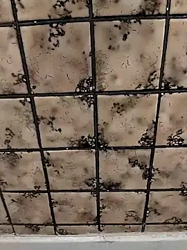 Snapshot of rosembertg chatting on October 2025 01:07:01 PM rosembertg online show from October 2025 01:07:01 PM