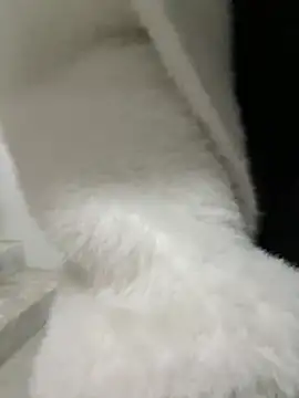 Snapshot of Cumonmme chatting on January 2026 08:23:01 PM Cumonmme online show from January 2026 08:23:01 PM