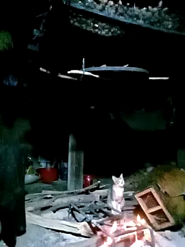 Snapshot of ngan-cute chatting on November 2025 01:28:01 PM ngan-cute online show from November 2025 01:28:01 PM