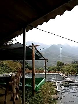 Snapshot of ngan-cute chatting on November 2025 02:21:01 AM ngan-cute online show from November 2025 02:21:01 AM