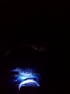 gostoso delas 2 online show from September 2025 04:19:01 PM