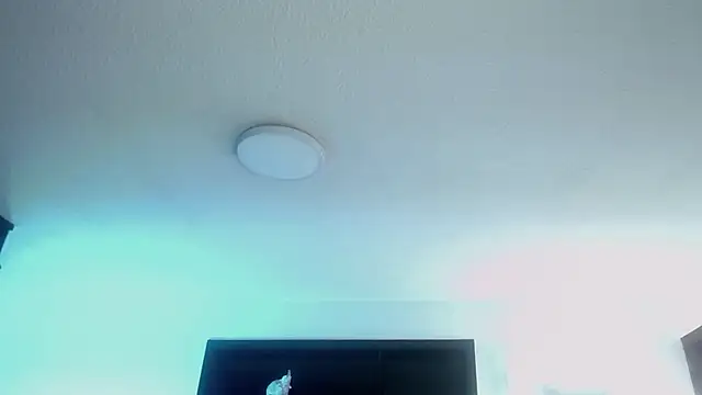  Charlotte Collins  online show from April 2026 02:51:02 PM