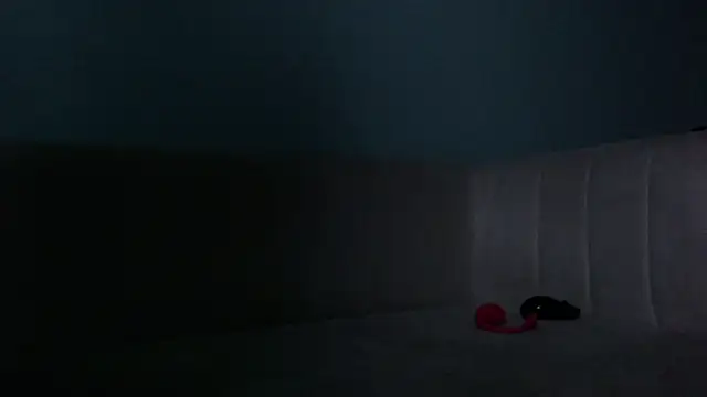 Snapshot of akisha_lims26 chatting on November 2025 12:16:01 PM akisha lims26 online show from November 2025 12:16:01 PM