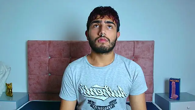 Snapshot of Ares_Alpha chatting on November 2025 09:03:02 PM Ares Alpha online show from November 2025 09:03:02 PM