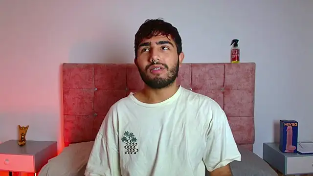 Snapshot of Ares_Alpha chatting on November 2025 07:01:02 PM Ares Alpha online show from November 2025 07:01:02 PM