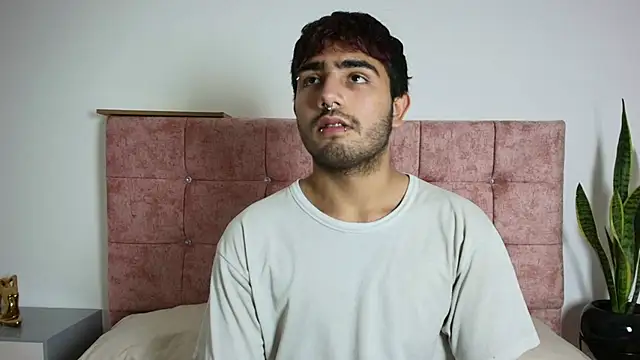 Snapshot of Ares_Alpha chatting on November 2025 06:17:01 PM Ares Alpha online show from November 2025 06:17:01 PM