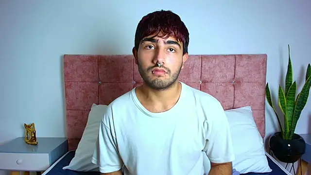 Snapshot of Ares_Alpha chatting on November 2025 06:18:02 PM Ares Alpha online show from November 2025 06:18:02 PM