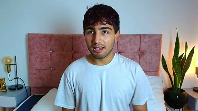 Snapshot of Ares_Alpha chatting on November 2025 06:53:02 PM Ares Alpha online show from November 2025 06:53:02 PM