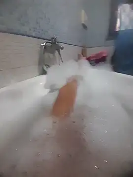 Snapshot of gigilola84 chatting on October 2025 02:50:01 PM gigilola84 online show from October 2025 02:50:01 PM