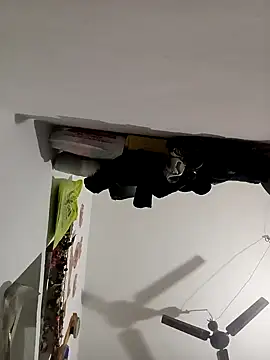 Payal950 online show from November 2025 12:22:02 AM