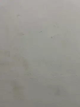 Snapshot of jully-jully chatting on September 2025 02:59:01 AM jully-jully online show from September 2025 02:59:01 AM