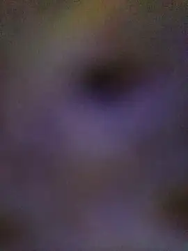 sadhna200 online show from October 2025 06:39:01 PM