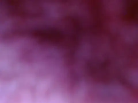 Your candy 47 online show from September 2025 01:24:02 PM