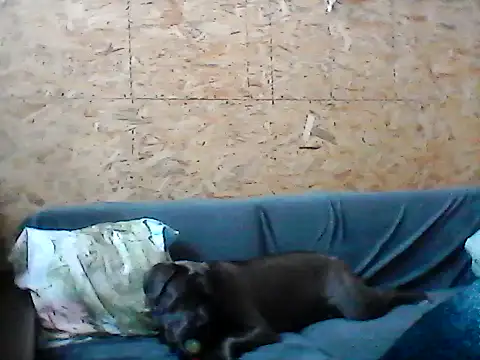 Milana38 online show from January 2026 11:14:01 AM