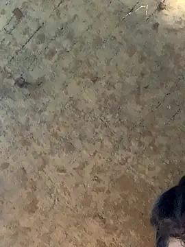 uniquesexyboy5689 online show from November 2025 10:50:02 AM