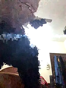 FlungBergenia online show from December 2025 06:04:02 PM