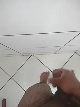 Novin23cms online show from December 2025 02:26:01 PM