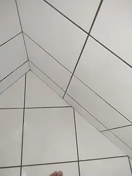 Novin23cms online show from December 2025 11:28:02 AM