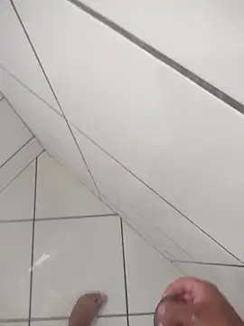 Novin23cms online show from January 2026 11:15:02 AM