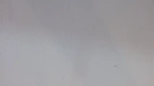 kiity horny  online show from September 2025 12:54:01 PM