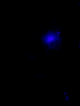 Snapshot of johnboones10 chatting on October 2025 09:42:02 AM johnboones10 online show from October 2025 09:42:02 AM