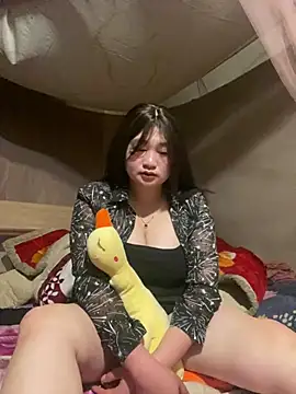 ha-cute online show from February 2026 02:11:01 AM