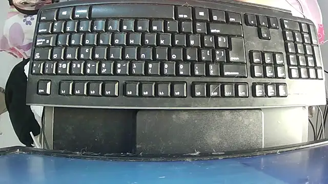 Snapshot of alisson__wood chatting on October 2025 01:03:02 AM alisson wood online show from October 2025 01:03:02 AM