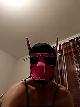 Snapshot of Puppydog33 chatting on October 2025 08:54:02 PM Puppydog33 online show from October 2025 08:54:02 PM