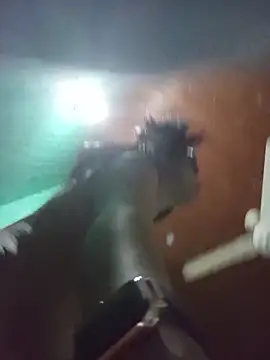 tony and katy online show from February 2026 01:12:01 AM