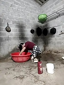 Tin tanny online show from December 2025 11:57:02 PM