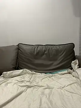 Snapshot of ruyi-13 chatting on September 2025 03:23:02 PM ruyi-13 online show from September 2025 03:23:02 PM