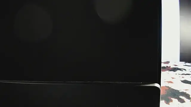 Dana  Whitttte online show from November 2025 01:31:01 PM