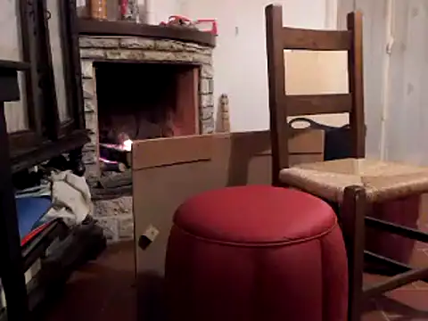 cpvento online show from October 2025 05:33:01 PM