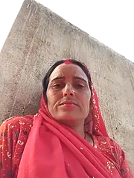 Jalebi bay online show from November 2025 10:04:01 AM