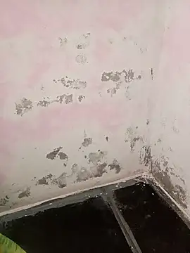 chubby babitha-telugu online show from September 2025 03:21:02 AM