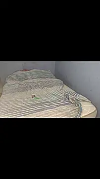 badlove42 online show from November 2025 04:04:01 AM