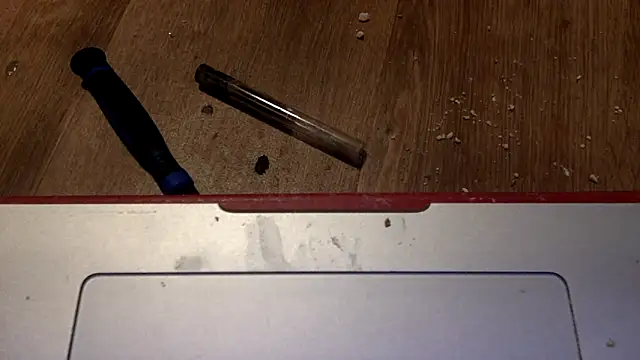 edger4lif3 online show from September 2025 05:24:01 PM