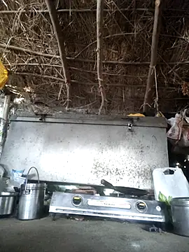 LUCKY cut online show from November 2025 02:22:01 AM