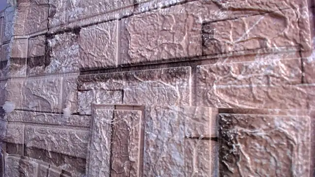 Bicky 24 online show from March 2026 07:59:01 AM