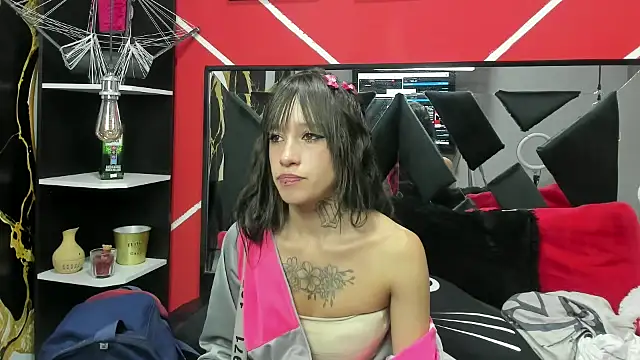 sharik noa online show from December 2025 07:41:01 PM