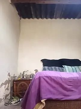 average price online show from January 2026 04:28:02 AM