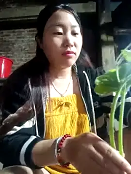 siki-00 online show from October 2025 11:54:02 PM