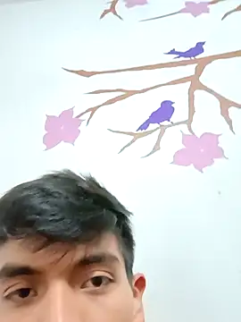 DavidVergagigante420 online show from November 2025 03:01:01 AM