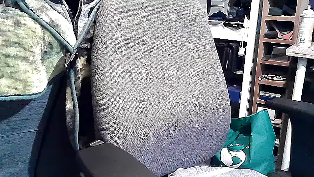 georgew62 online show from September 2025 11:50:01 PM