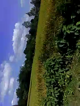 bigdaddyboy46 online show from November 2025 07:30:02 AM