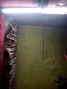 Suman ji1 online show from November 2025 01:44:02 PM